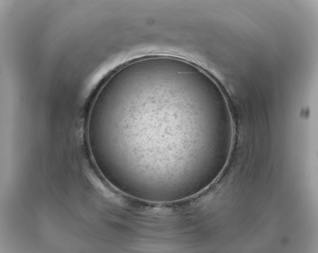 X0000090431503200707272120