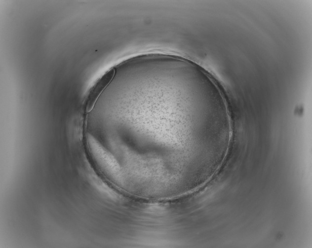 X0000090431504200707272120