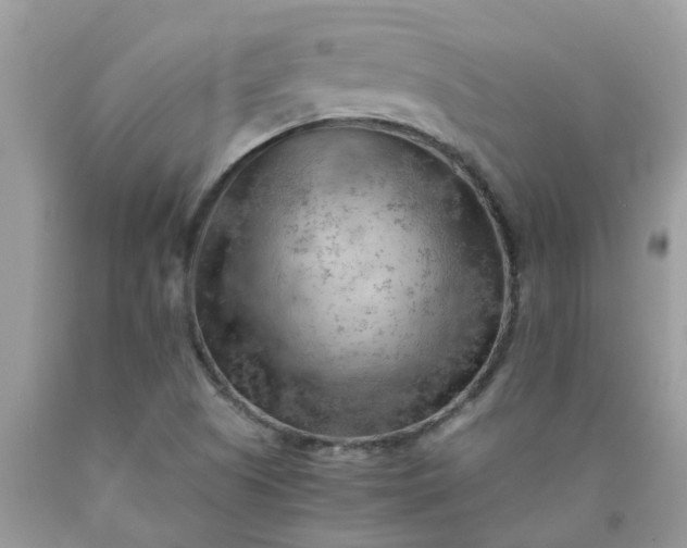 X0000090431505200707272120