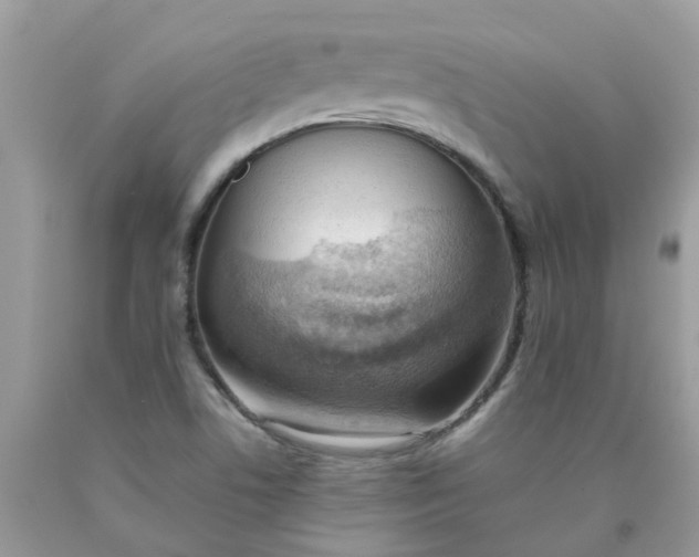 X0000090431506200707272120