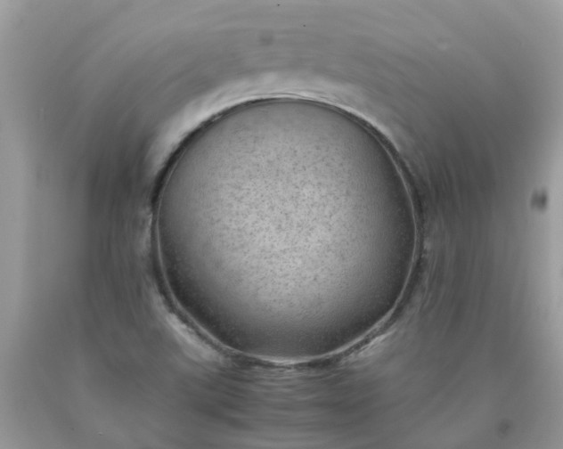 X0000090431507200707272120