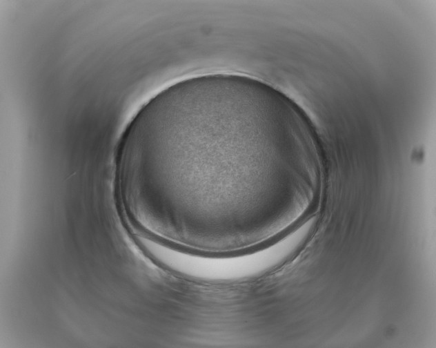 X0000090431508200707272120