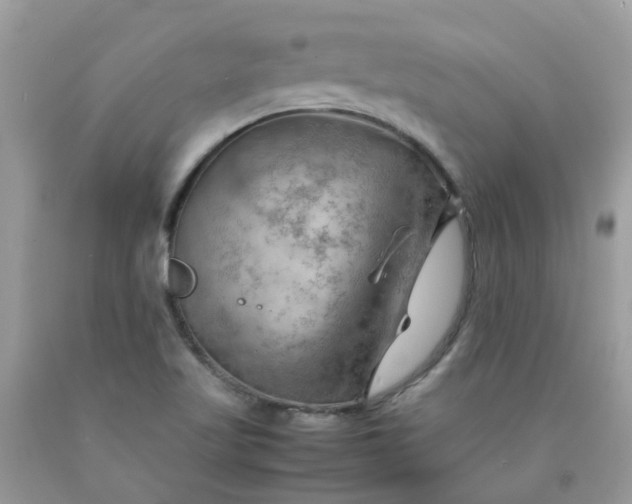 X0000090431509200707272120