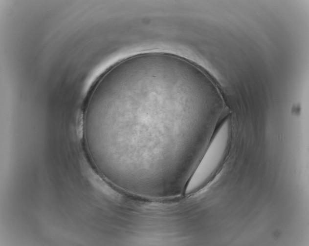 X0000090431510200707272120