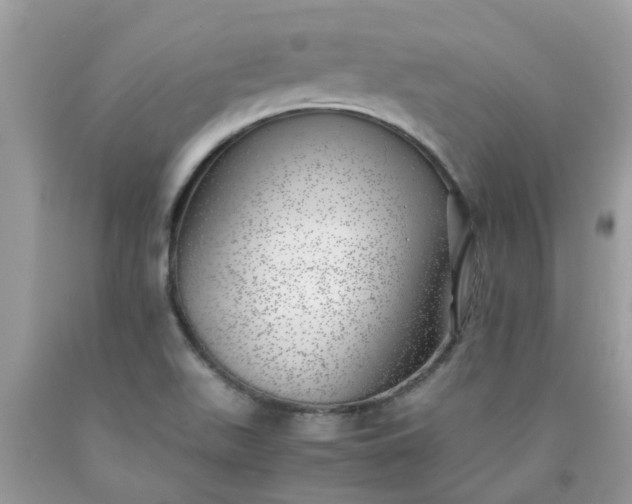 X0000090431511200707272120