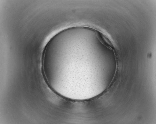 X0000090431512200707272120