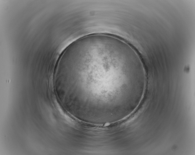 X0000090431513200707272120