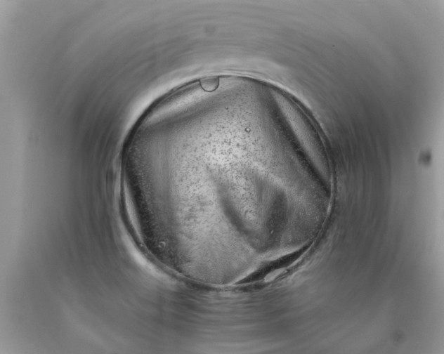 X0000090431515200707272120