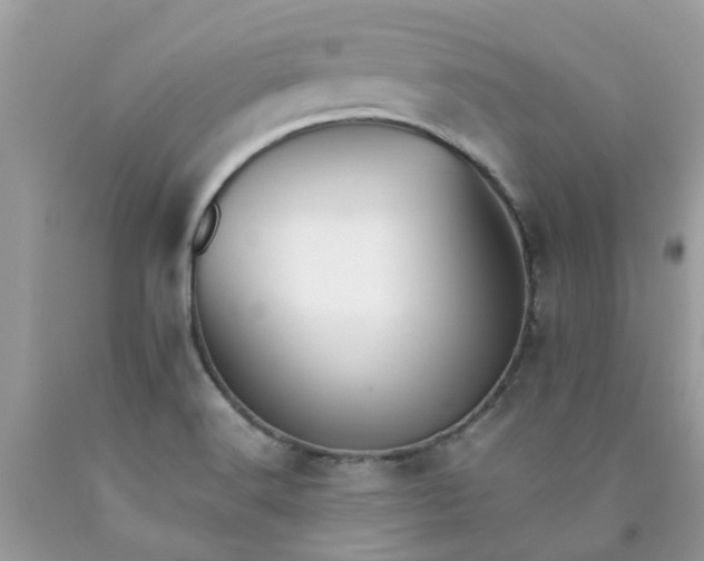 X0000090431516200707272120