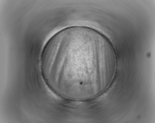 X0000090431517200707272120