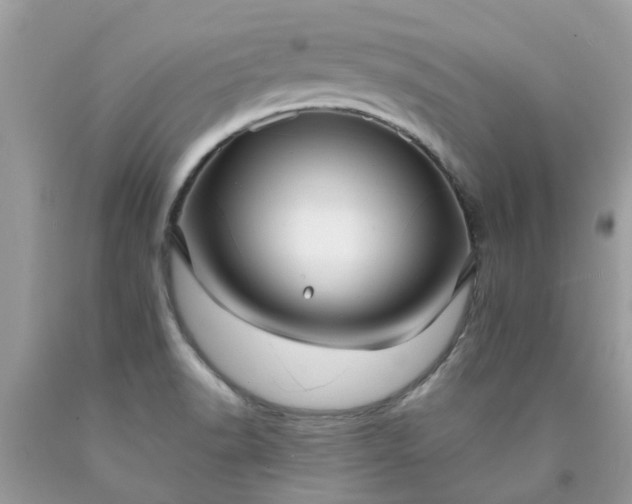 X0000090431518200707272120