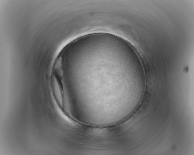 X0000090431519200707272120