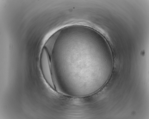 X0000090431520200707272120