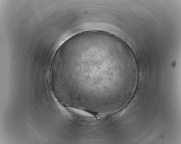 X0000090431521200707272120