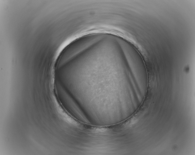 X0000090431522200707272120