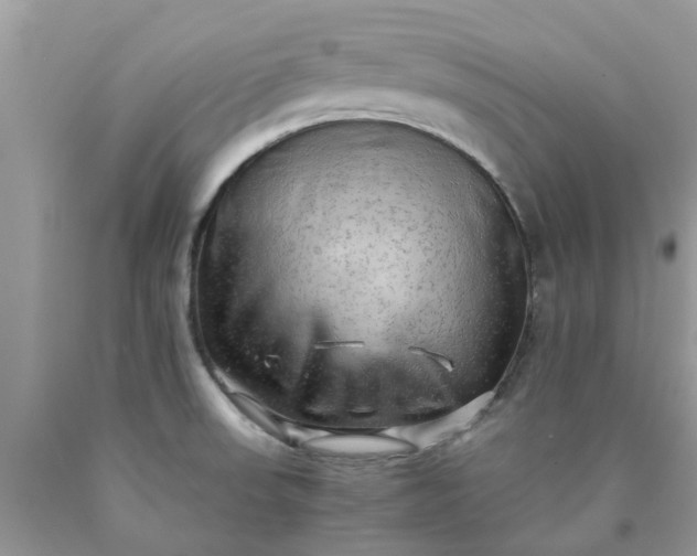 X0000090431523200707272120