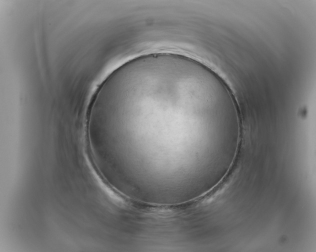 X0000090431525200707272120