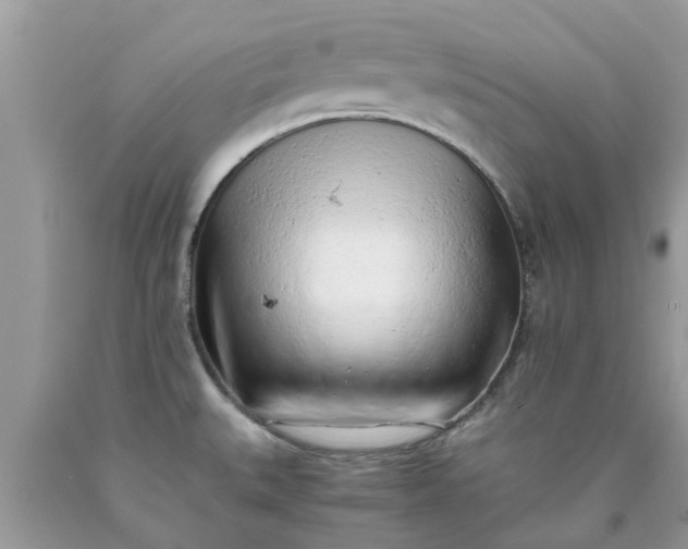 X0000090431527200707272120