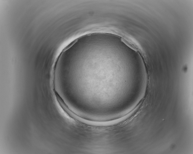 X0000090431528200707272120