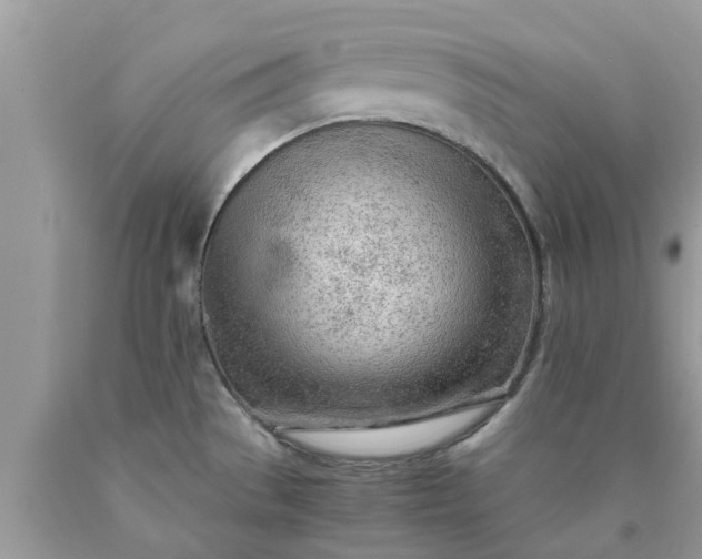 X0000090431529200707272121