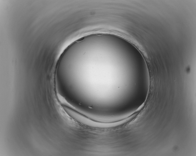 X0000090431530200707272121