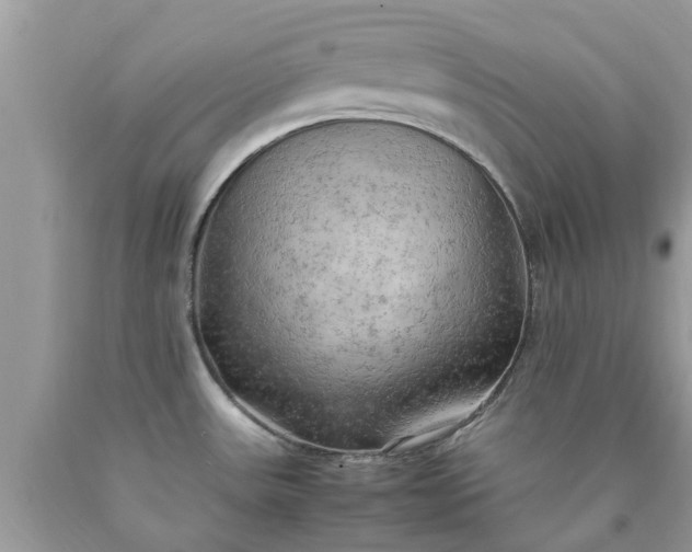 X0000090431531200707272121