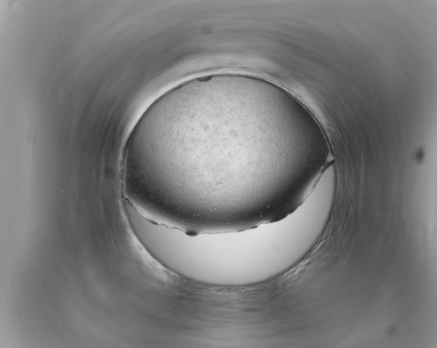 X0000090431532200707272121