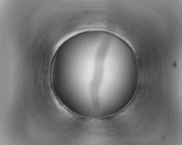 X0000090431534200707272121