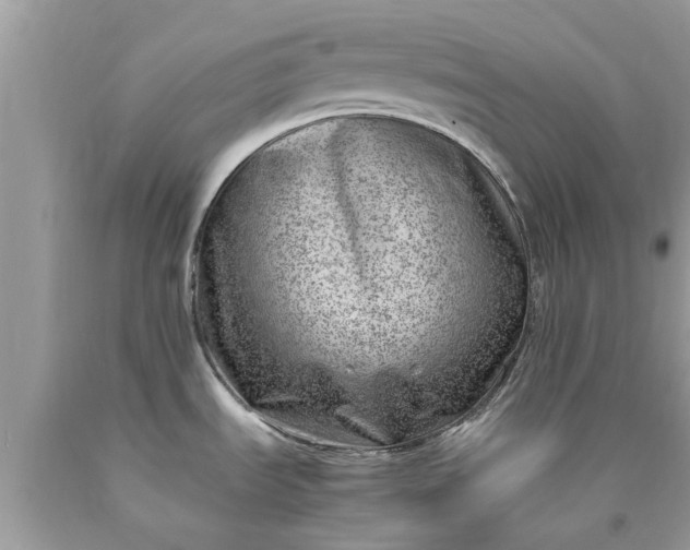 X0000090431535200707272121