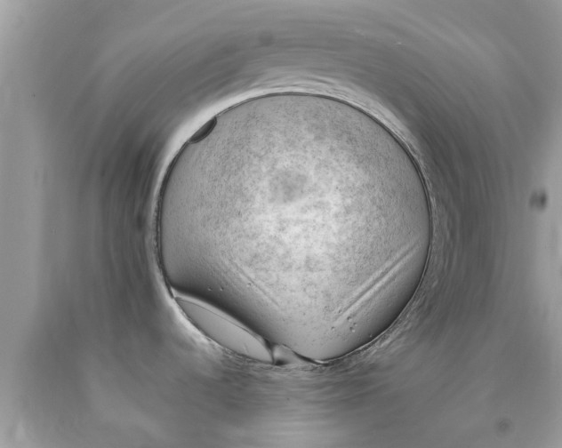 X0000090431536200707272121