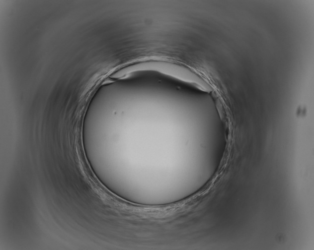 X0000090430001200708031141