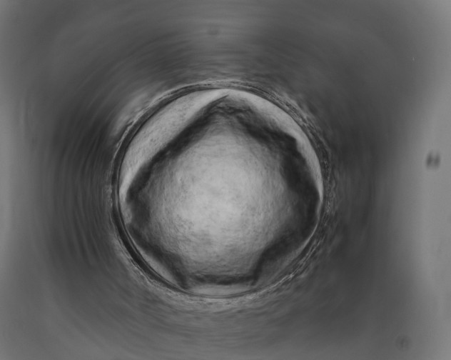 X0000090430002200708031141