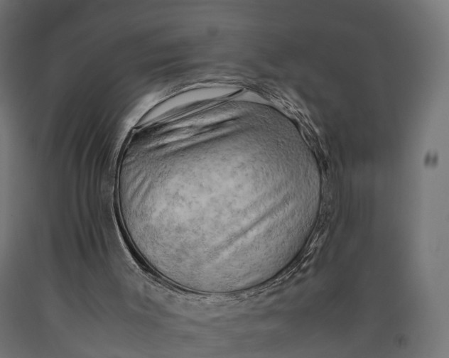 X0000090430003200708031141
