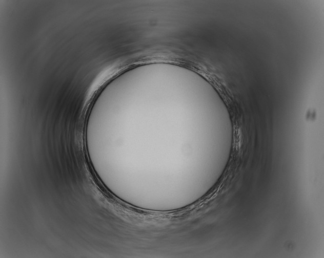 X0000090430004200708031141