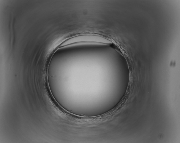 X0000090430005200708031141