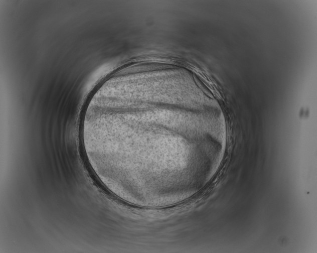 X0000090430006200708031140