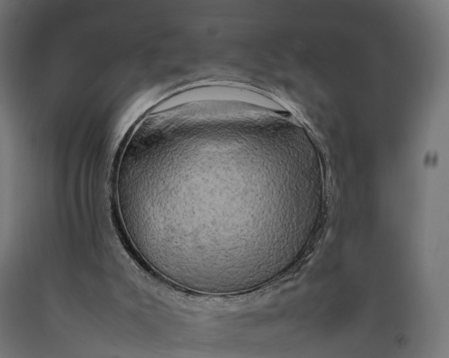 X0000090430007200708031140