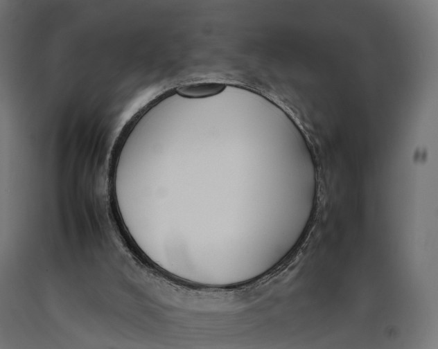 X0000090430008200708031140