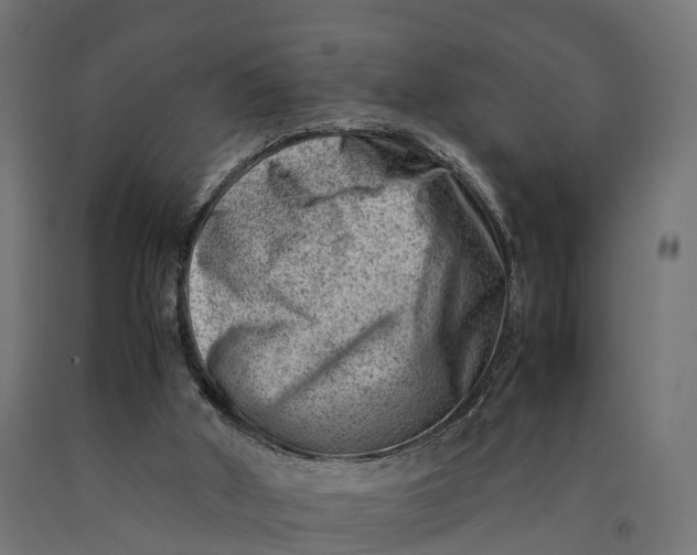 X0000090430010200708031140