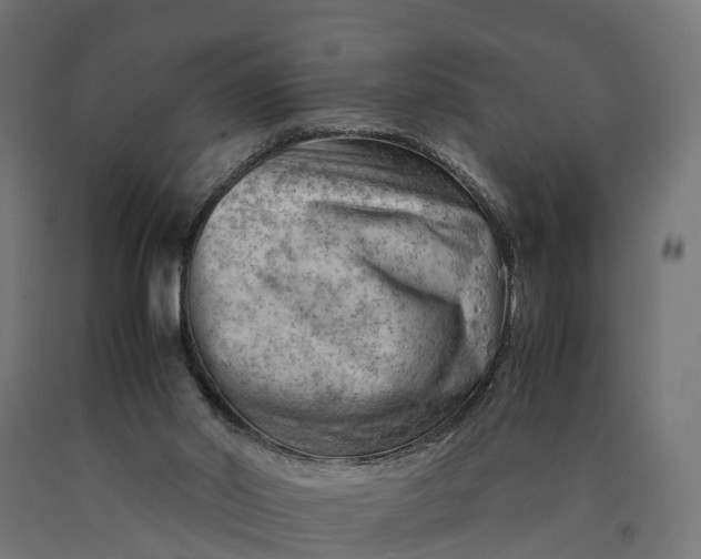 X0000090430014200708031140