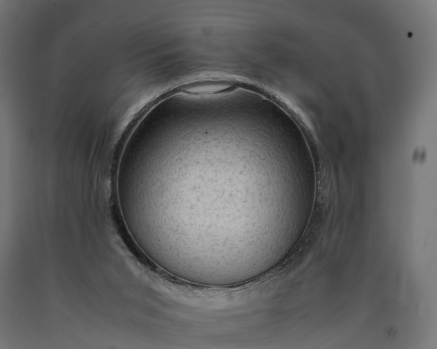 X0000090430015200708031140