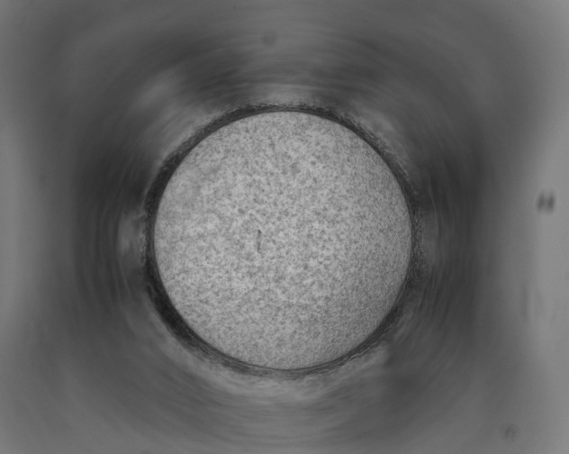 X0000090430016200708031140