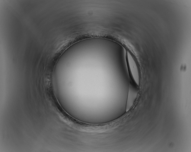 X0000090430017200708031140