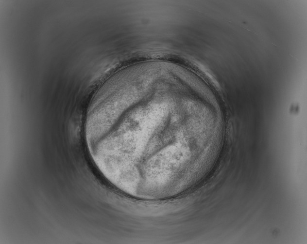 X0000090430018200708031140