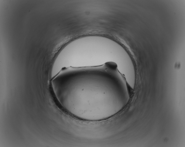 X0000090430019200708031140
