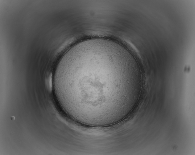 X0000090430020200708031140