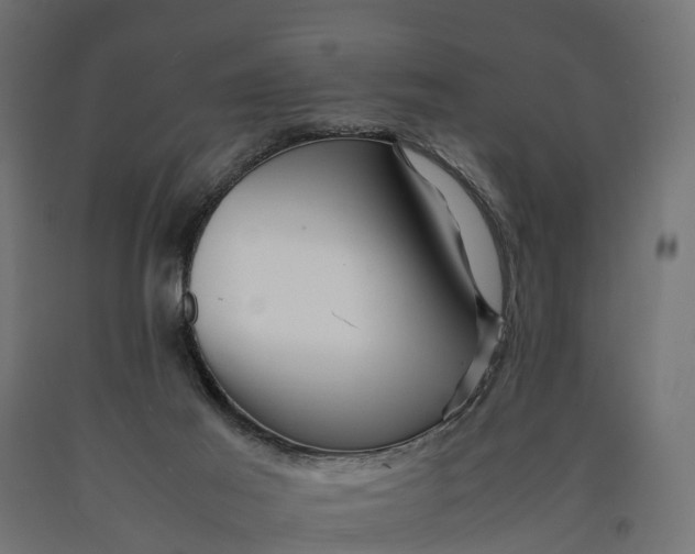 X0000090430021200708031140