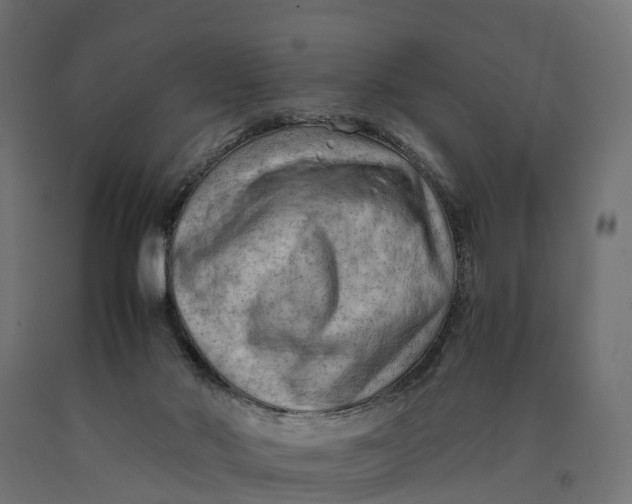 X0000090430022200708031140
