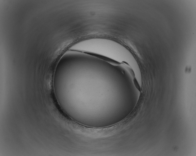 X0000090430023200708031140