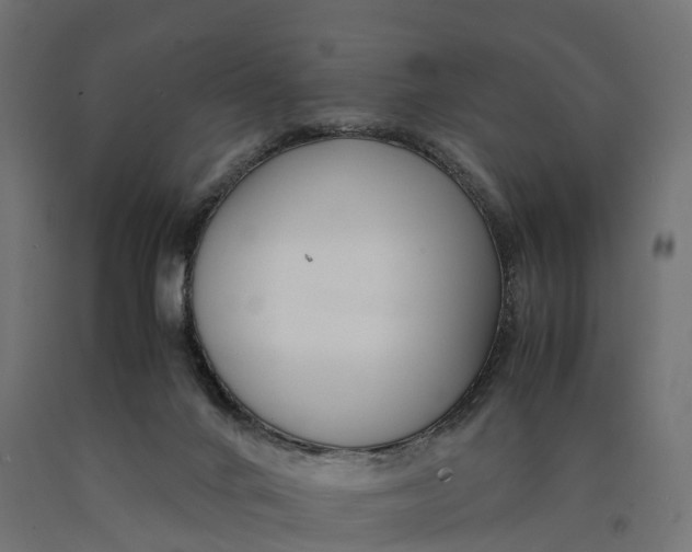 X0000090430024200708031140